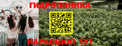 ALPHA PVP Заволжье